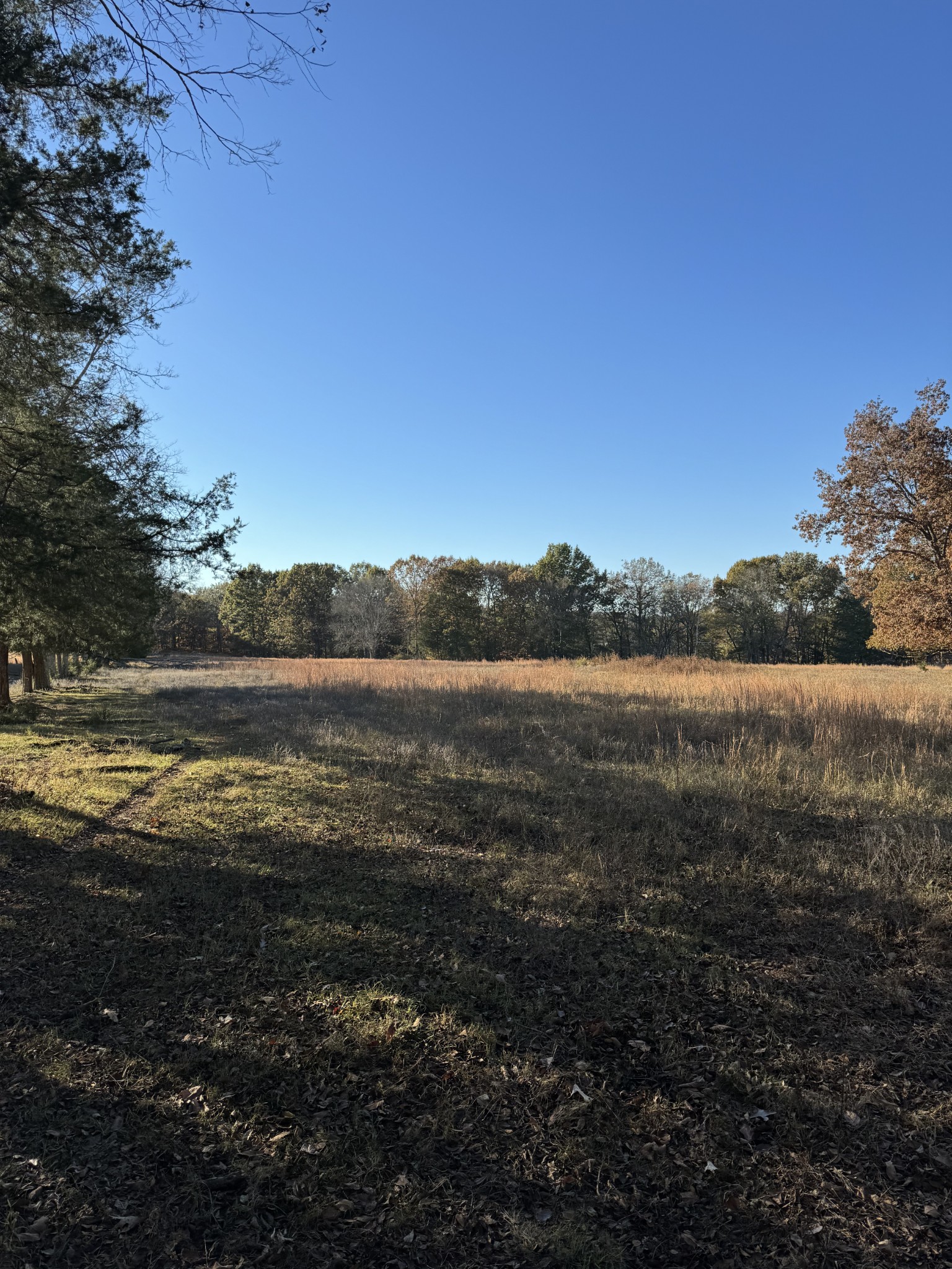 7492 Old Shores Road Murfreesboro, TN 37128 - Photo 14 of 21