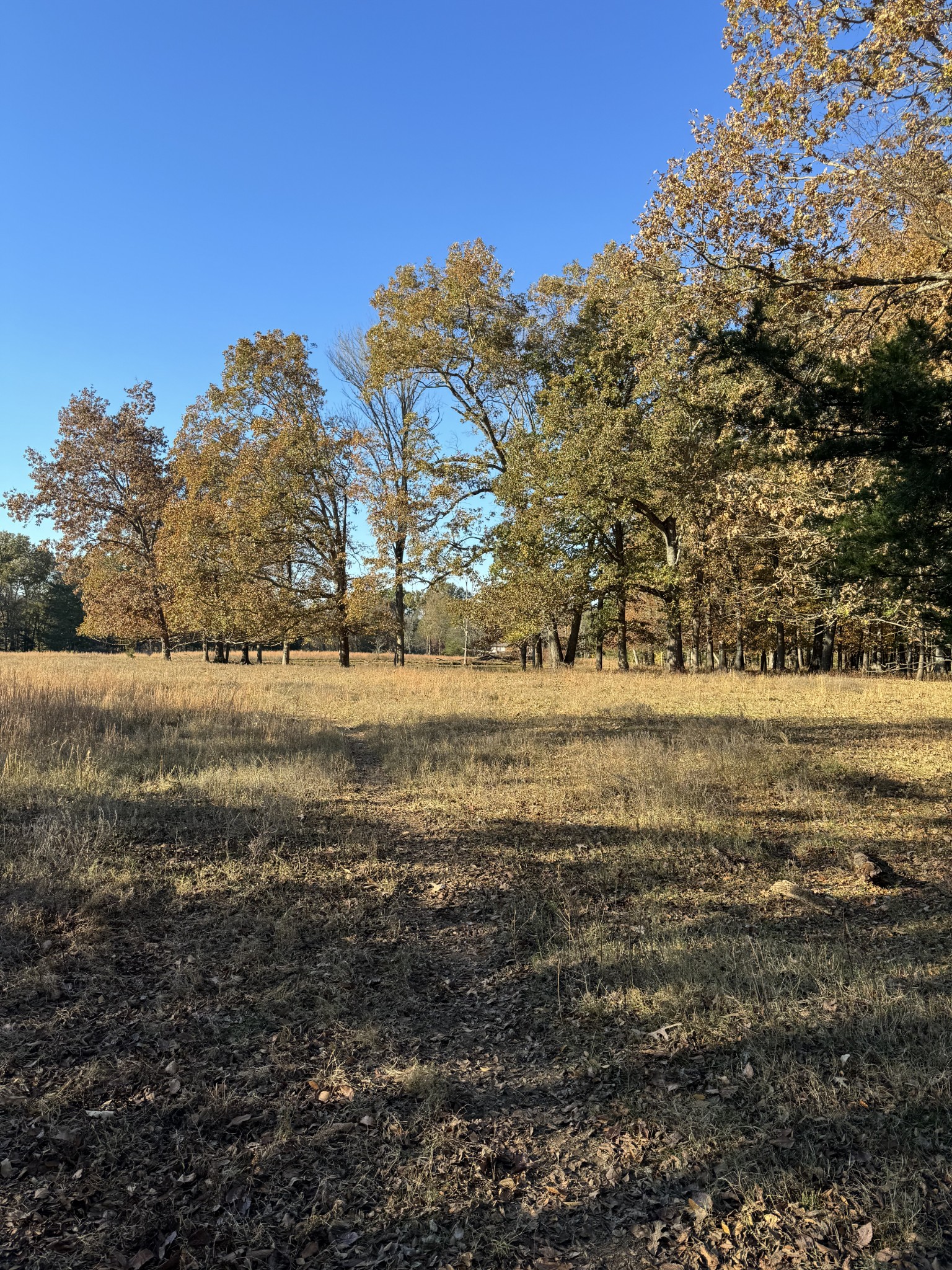 7492 Old Shores Road Murfreesboro, TN 37128 - Photo 15 of 21