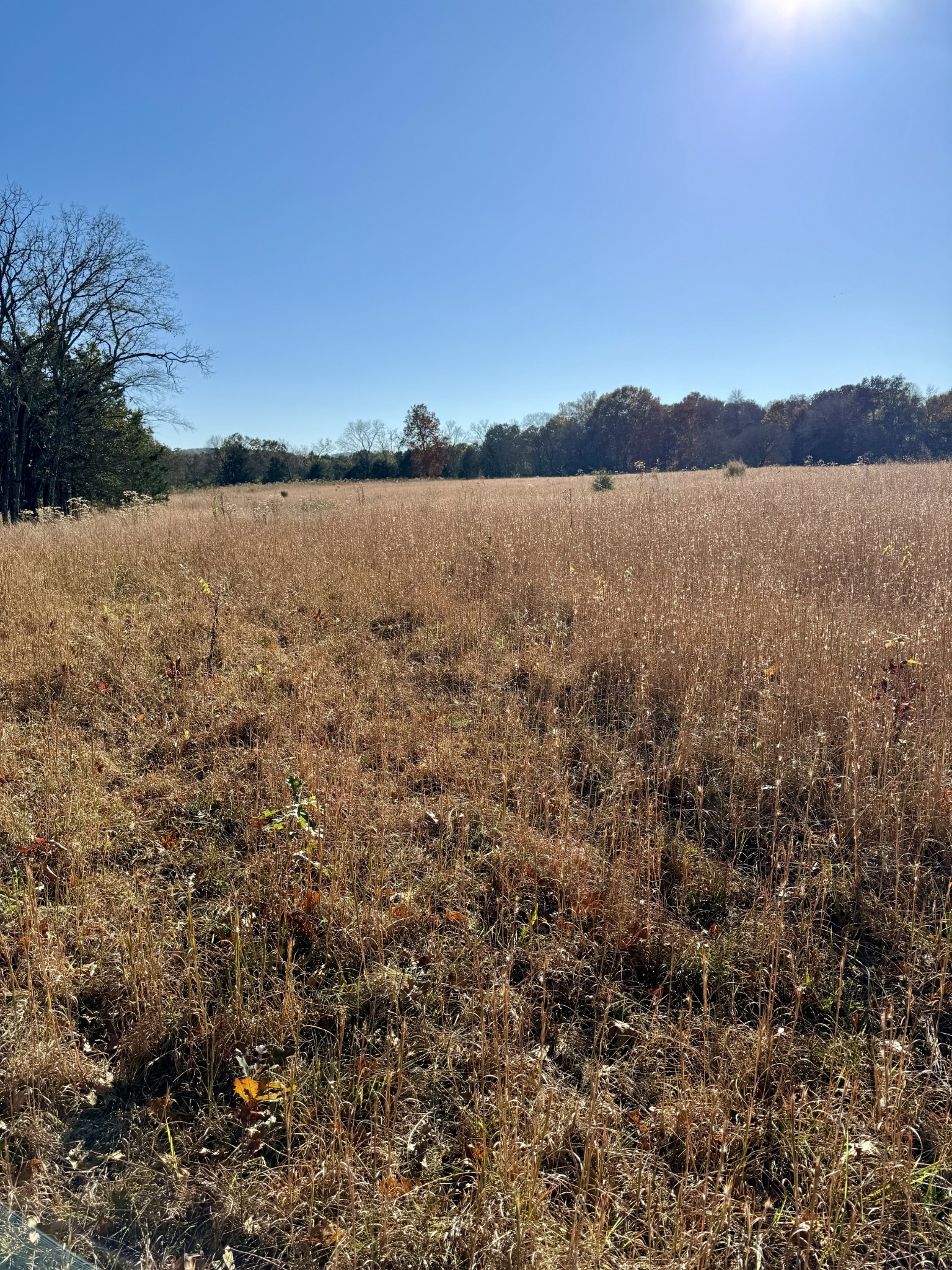 7492 Old Shores Road Murfreesboro, TN 37128 - Photo 16 of 21