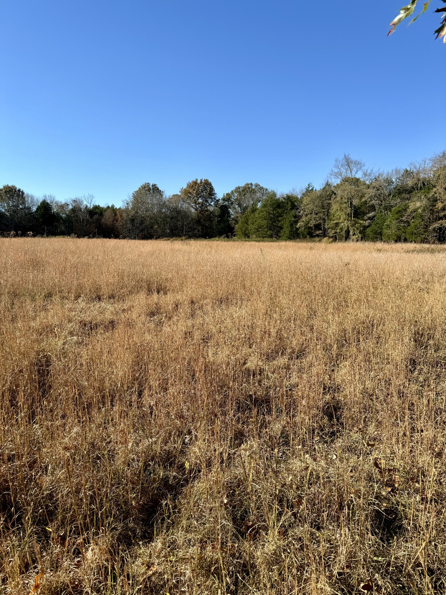 7492 Old Shores Road Murfreesboro, TN 37128 - Photo 17 of 21