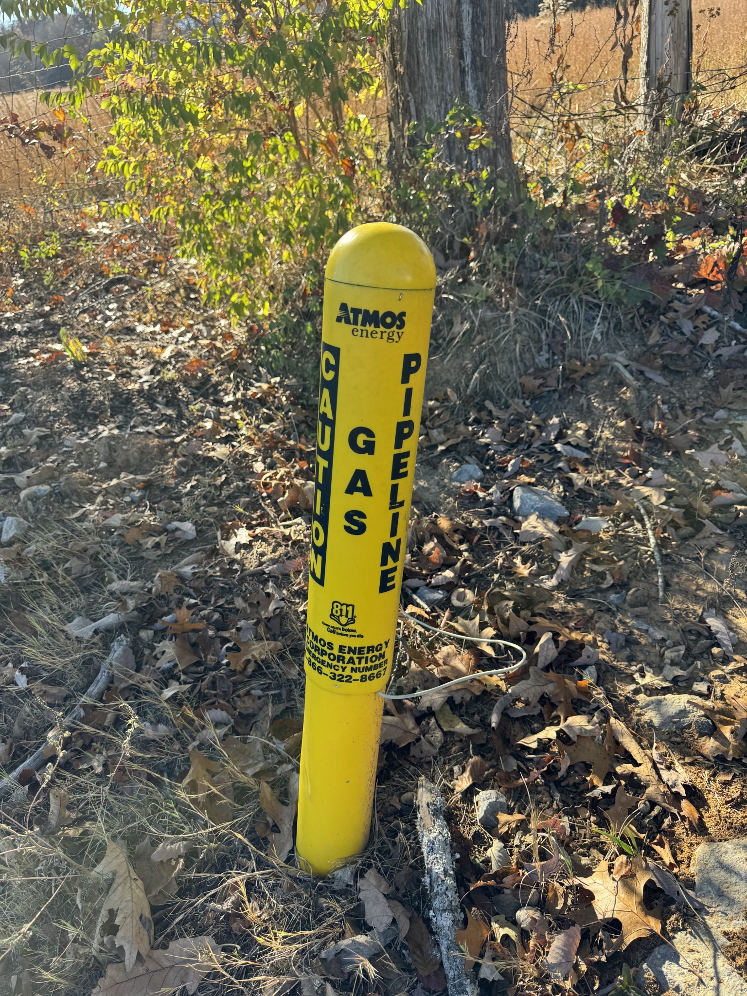 7492 Old Shores Road Murfreesboro, TN 37128 - Photo 20 of 21