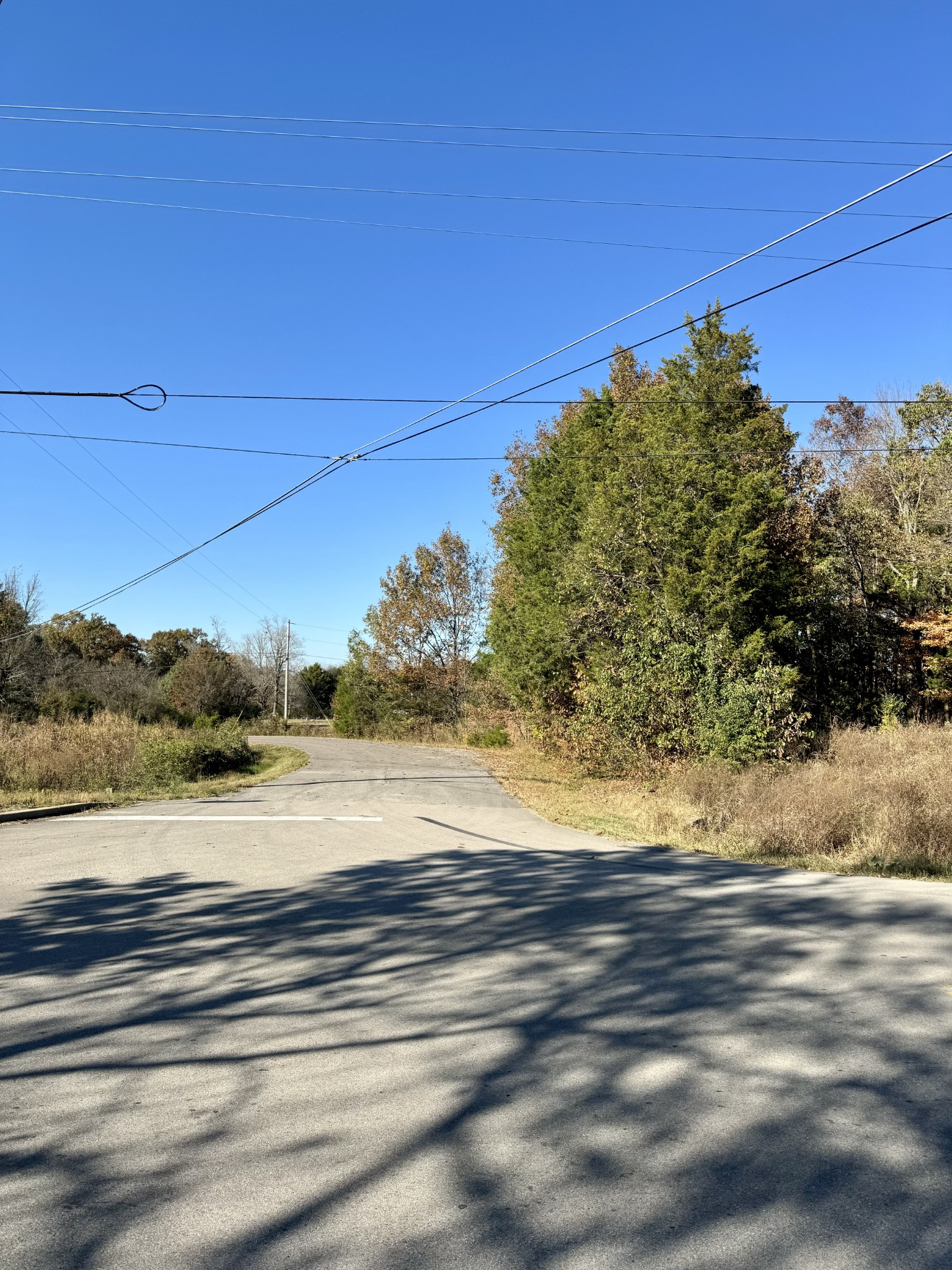 7492 Old Shores Road Murfreesboro, TN 37128 - Photo 6 of 21