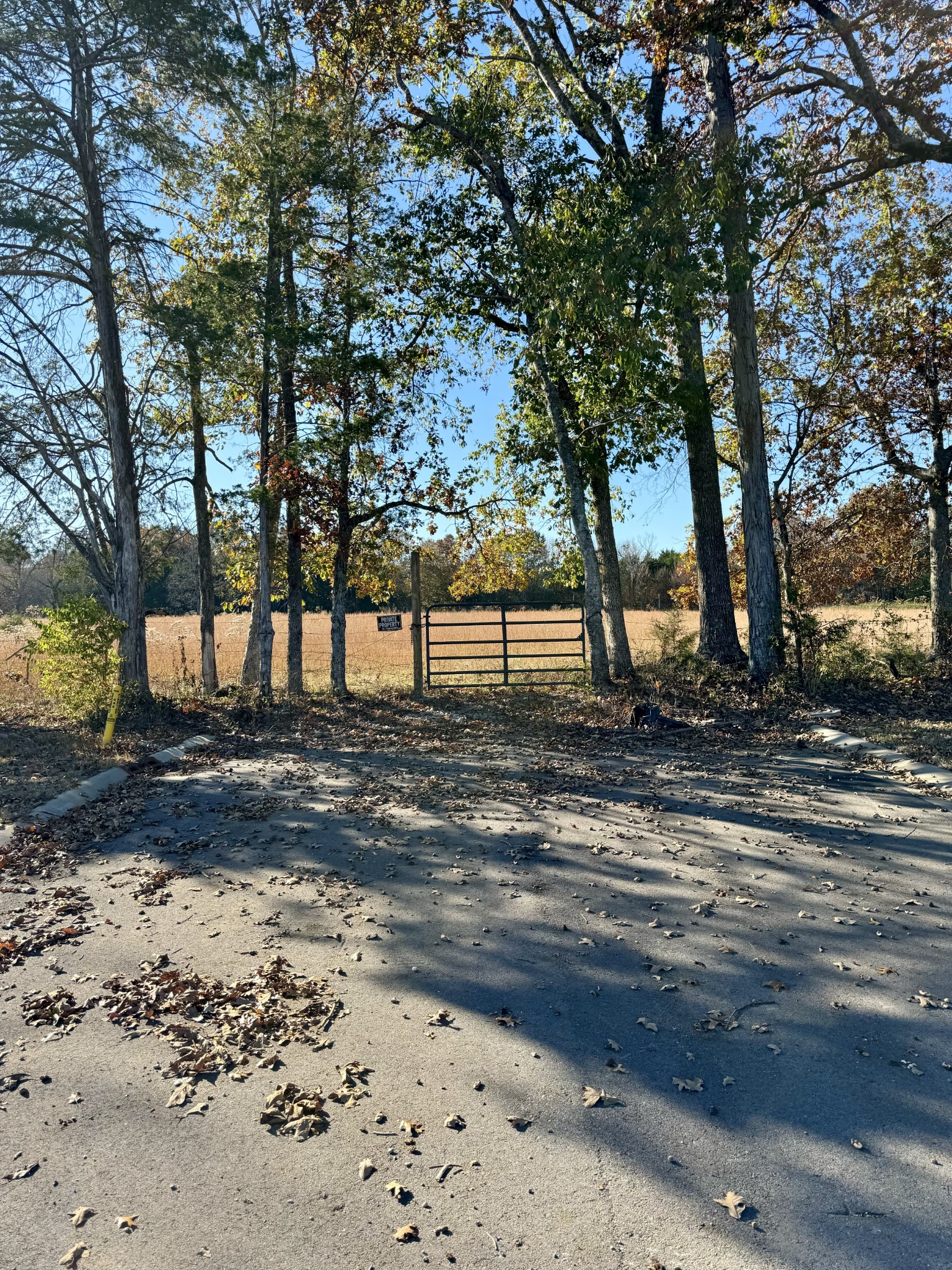 7492 Old Shores Road Murfreesboro, TN 37128 - Photo 9 of 21