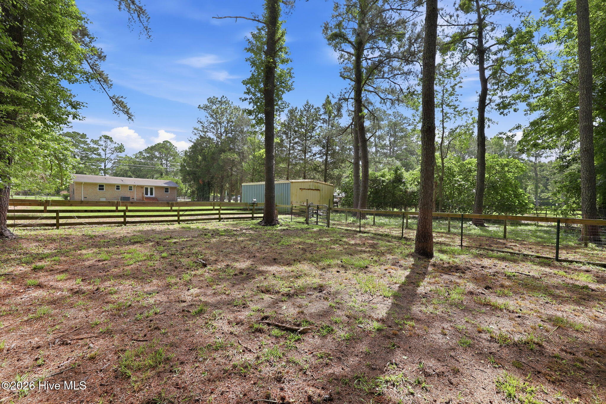 1040 Broad Creek Road New Bern, NC 28560 - Photo 26 of 47 Pasture space