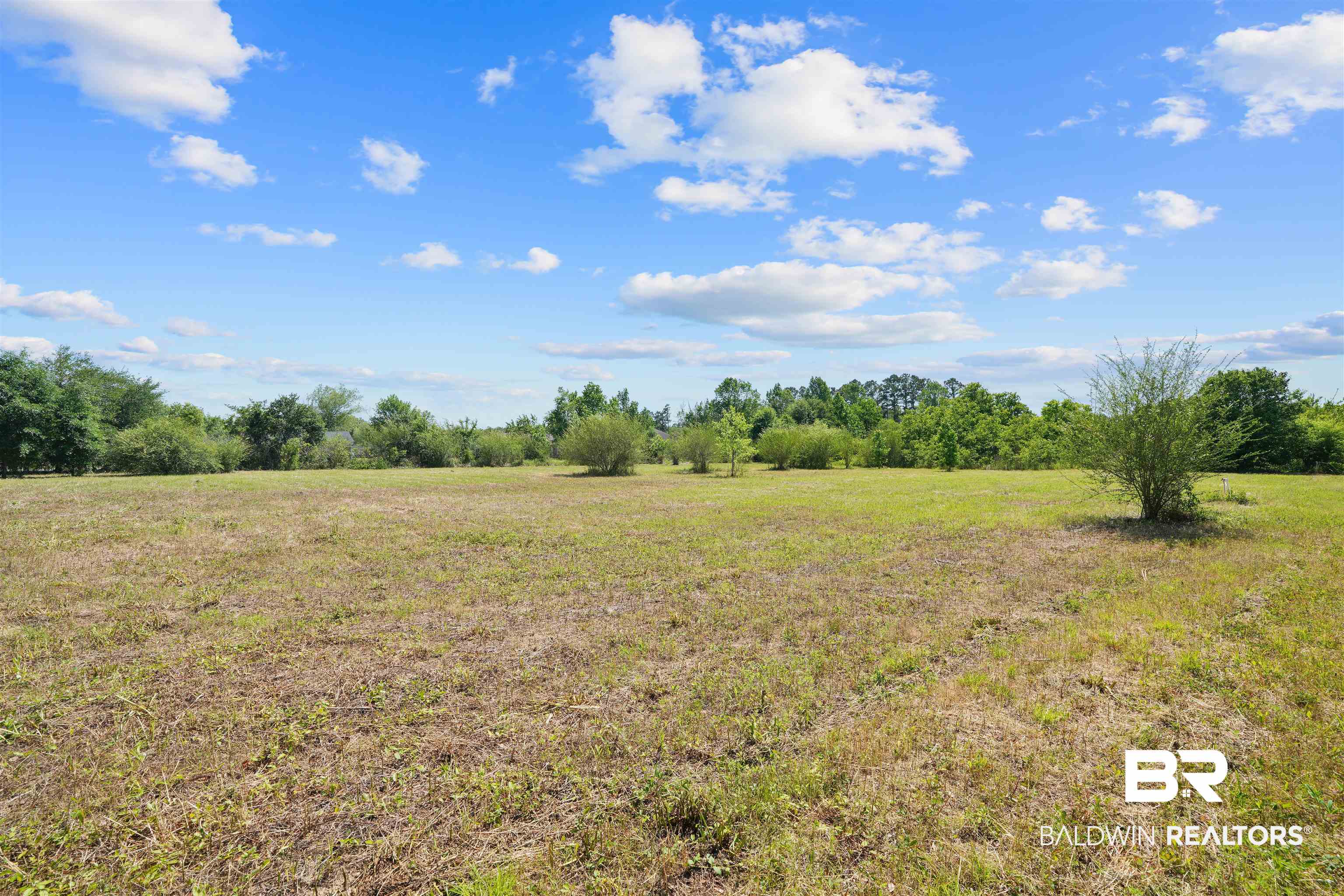 13733 White Road Silverhill, AL 36576 - Photo 9 of 26