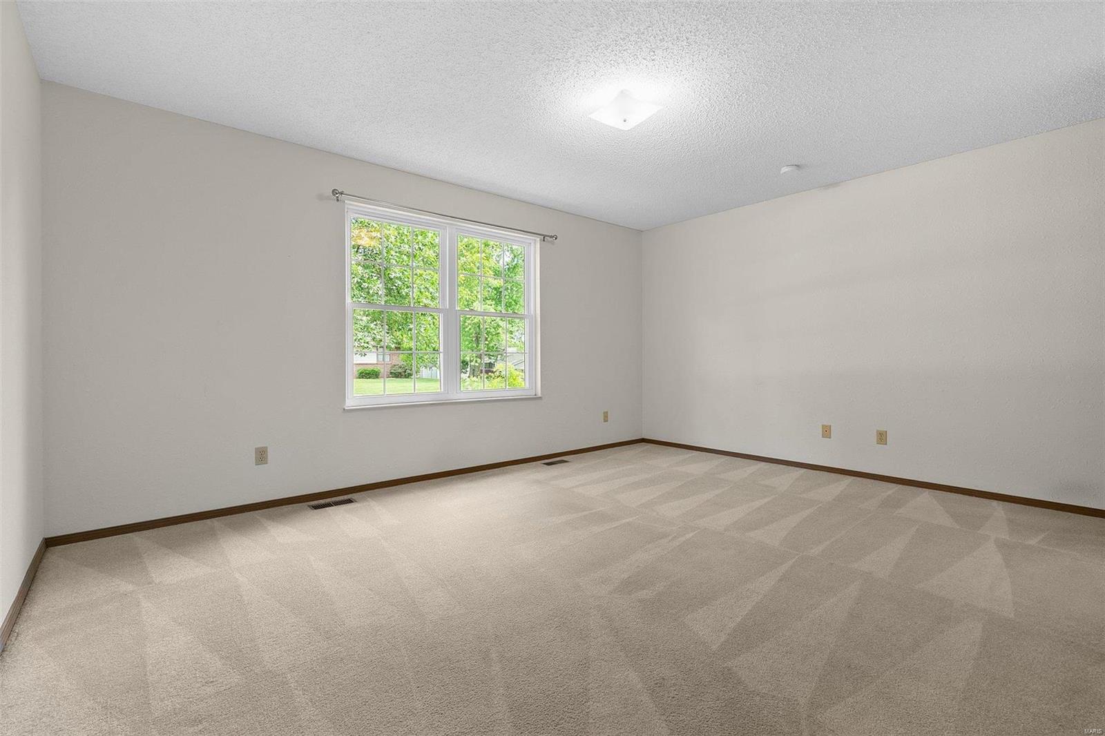101 Sugarmill Road Troy, IL 62294 - Photo 19 of 35 Gallery Image 19