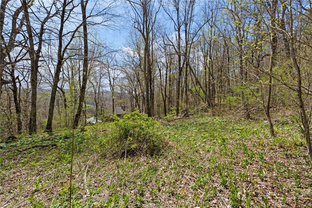 Rocky Mountain Road Boone, NC 28607 - Photo 15 of 21 a view of backyard with pathway