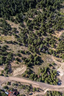 a view of a large yard with lots of bushes