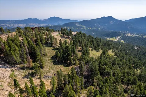 a view of a forest with mountains in the background