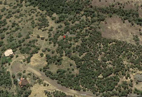 a view of a dry yard with lots of bushes