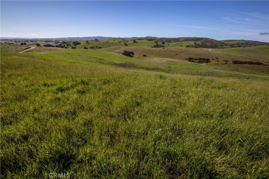 1641 Sutliff Road Paso Robles, CA 93446 - Photo 17 of 44 a view of an ocean