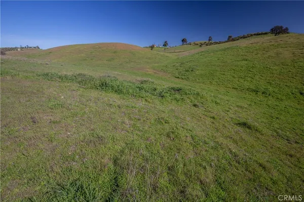 a view of a field with an ocean