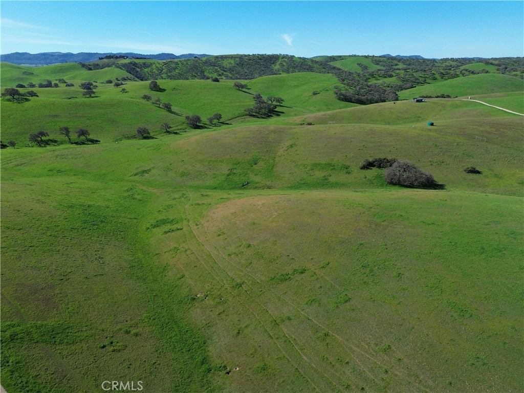 1641 Sutliff Road Paso Robles, CA 93446 - Photo 37 of 44 a view of a lush green field