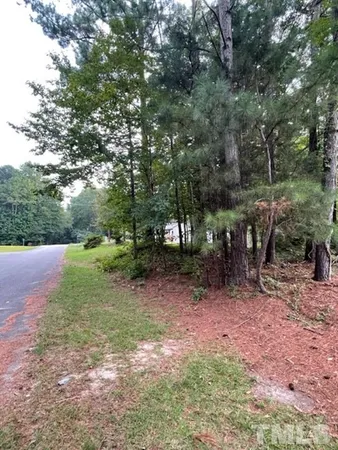 a view of a forest with trees