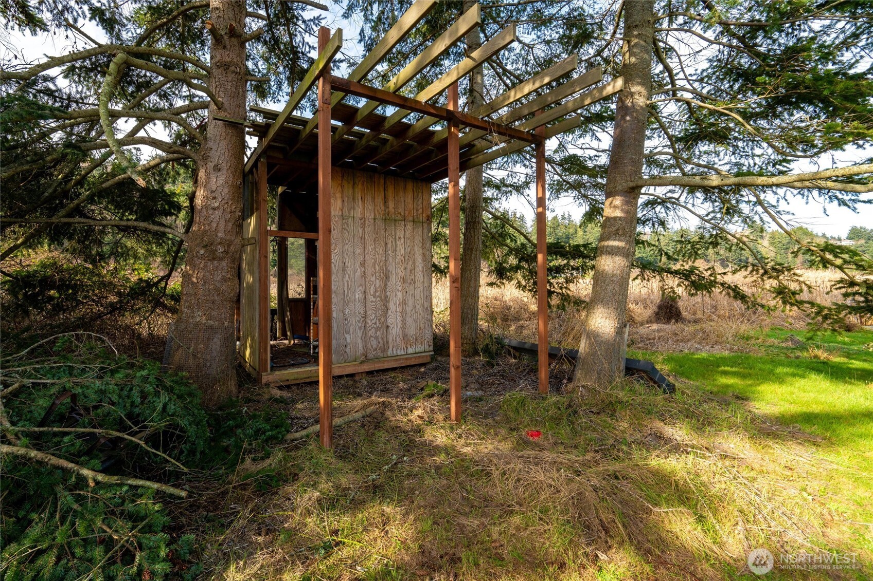 0 Shore Avenue Freeland, WA 98249 - Photo 10 of 20 a backyard of a house with lots of green space