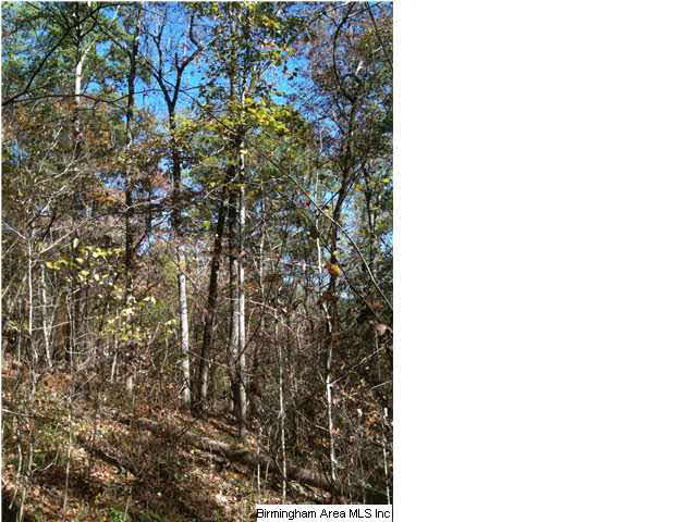 Bishop Ridge, Unit 150 McCalla, AL 35111 - Photo 3 of 10