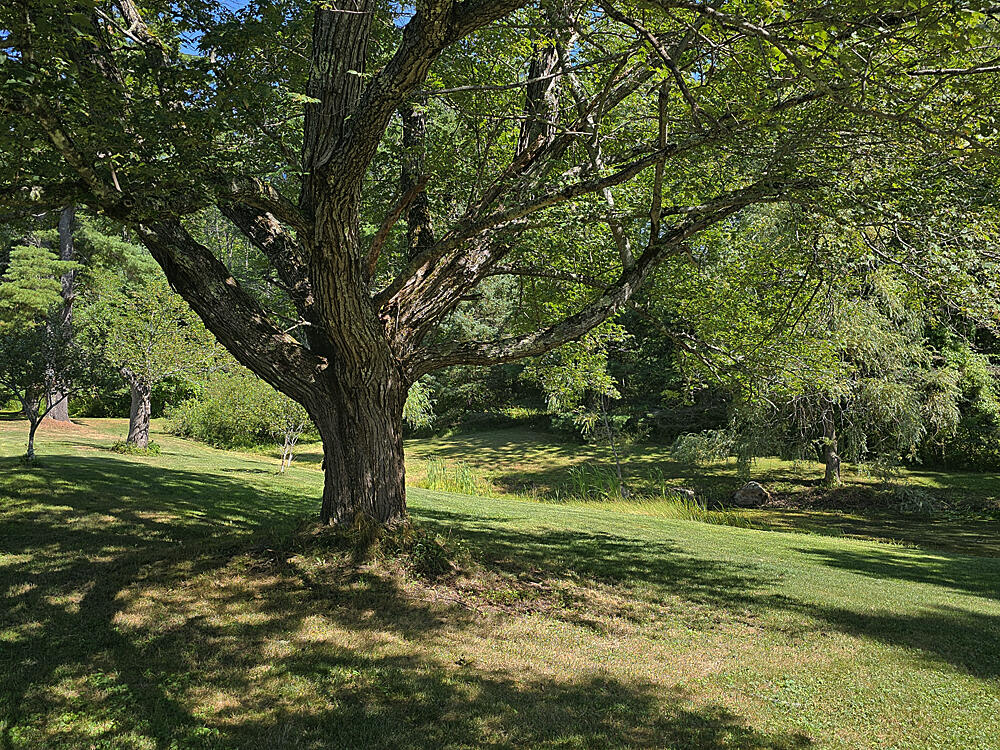 608 River Road Newcastle, ME 04553 - Photo 22 of 102 Mature Trees