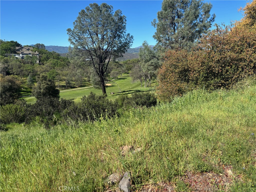 20137 Powder Horn Road Hidden Valley Lake, CA 95467 - Photo 2 of 6 a view of a garden with a tree