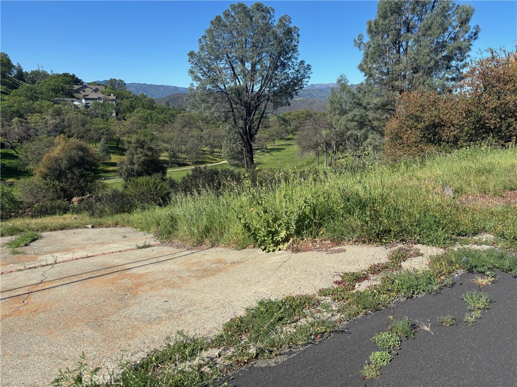 20137 Powder Horn Road Hidden Valley Lake, CA 95467 - Photo 3 of 6 a view of a road with a yard