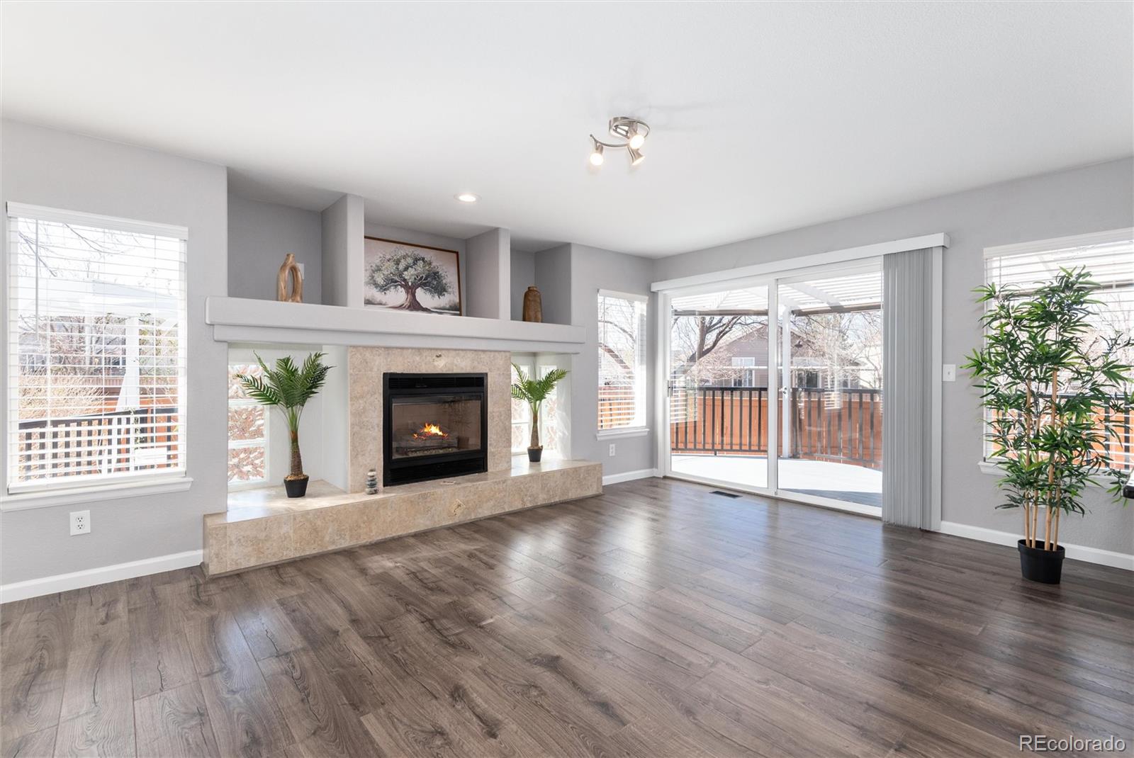 1494 Braewood Avenue Highlands Ranch, CO 80129 - Photo 17 of 48