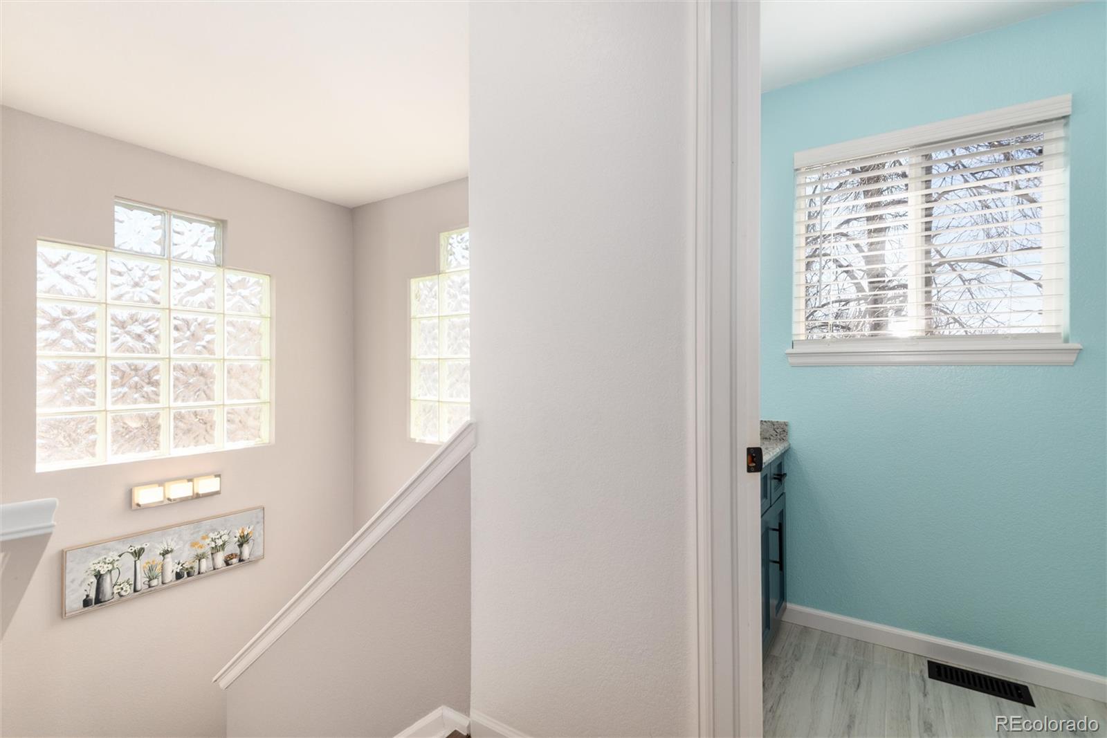 1494 Braewood Avenue Highlands Ranch, CO 80129 - Photo 34 of 48