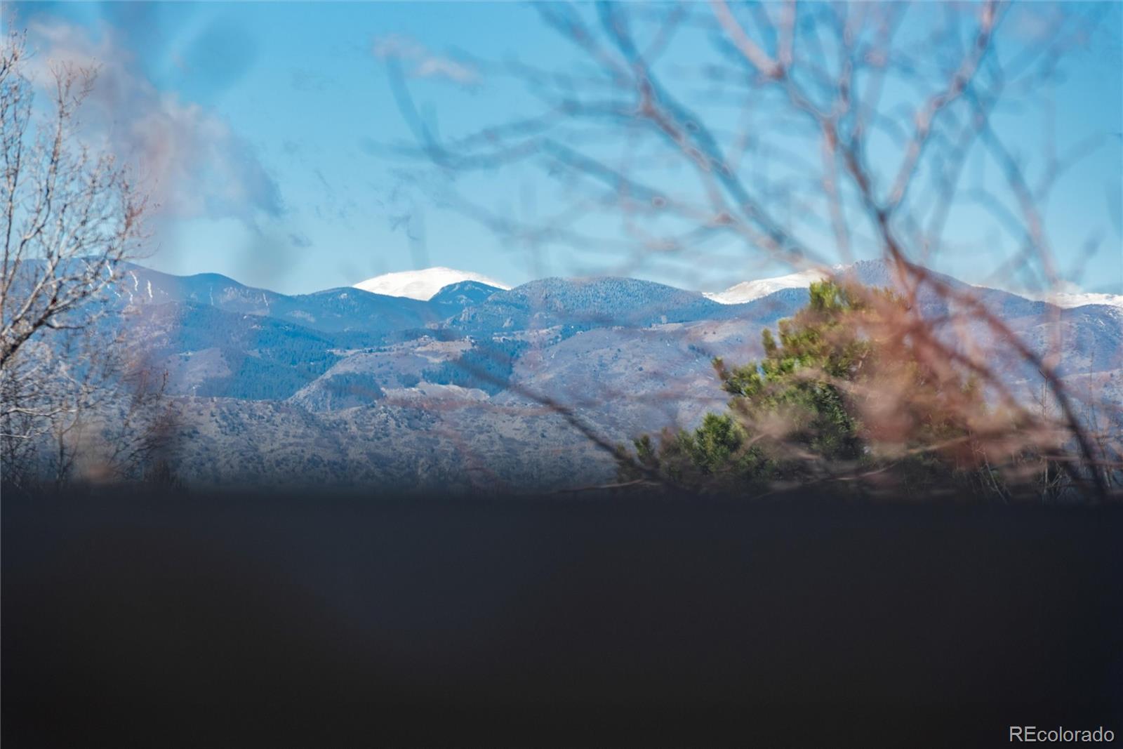 1494 Braewood Avenue Highlands Ranch, CO 80129 - Photo 41 of 48