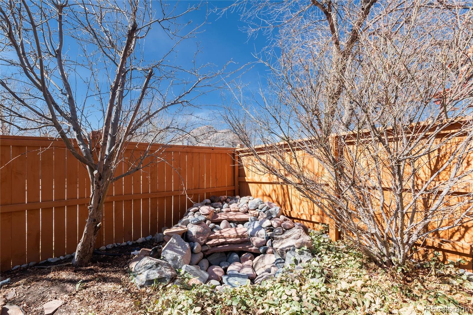 1494 Braewood Avenue Highlands Ranch, CO 80129 - Photo 48 of 48