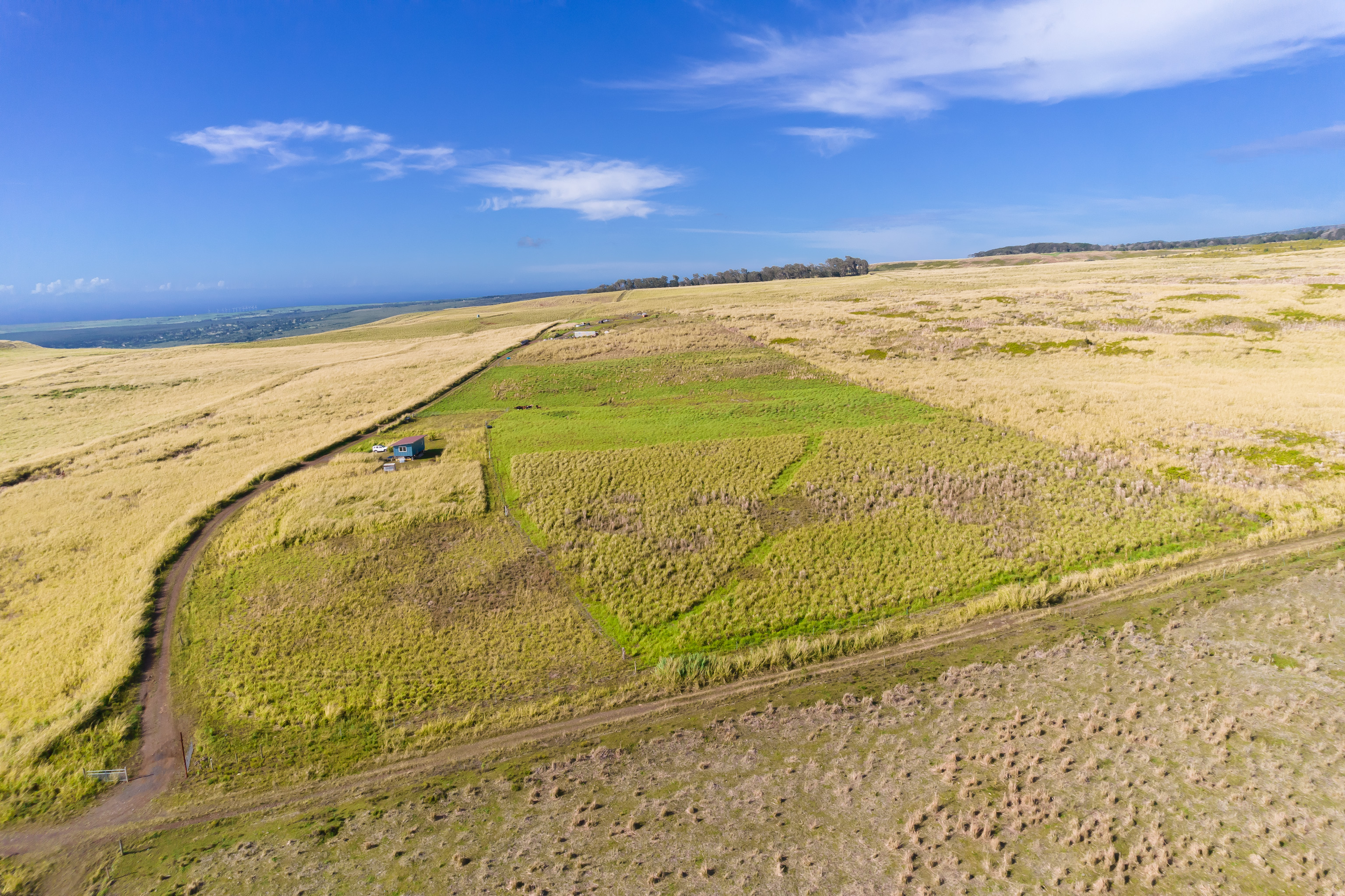 95-4165 Halemauna Road Naalehu, HI 96772 - Photo 11 of 22