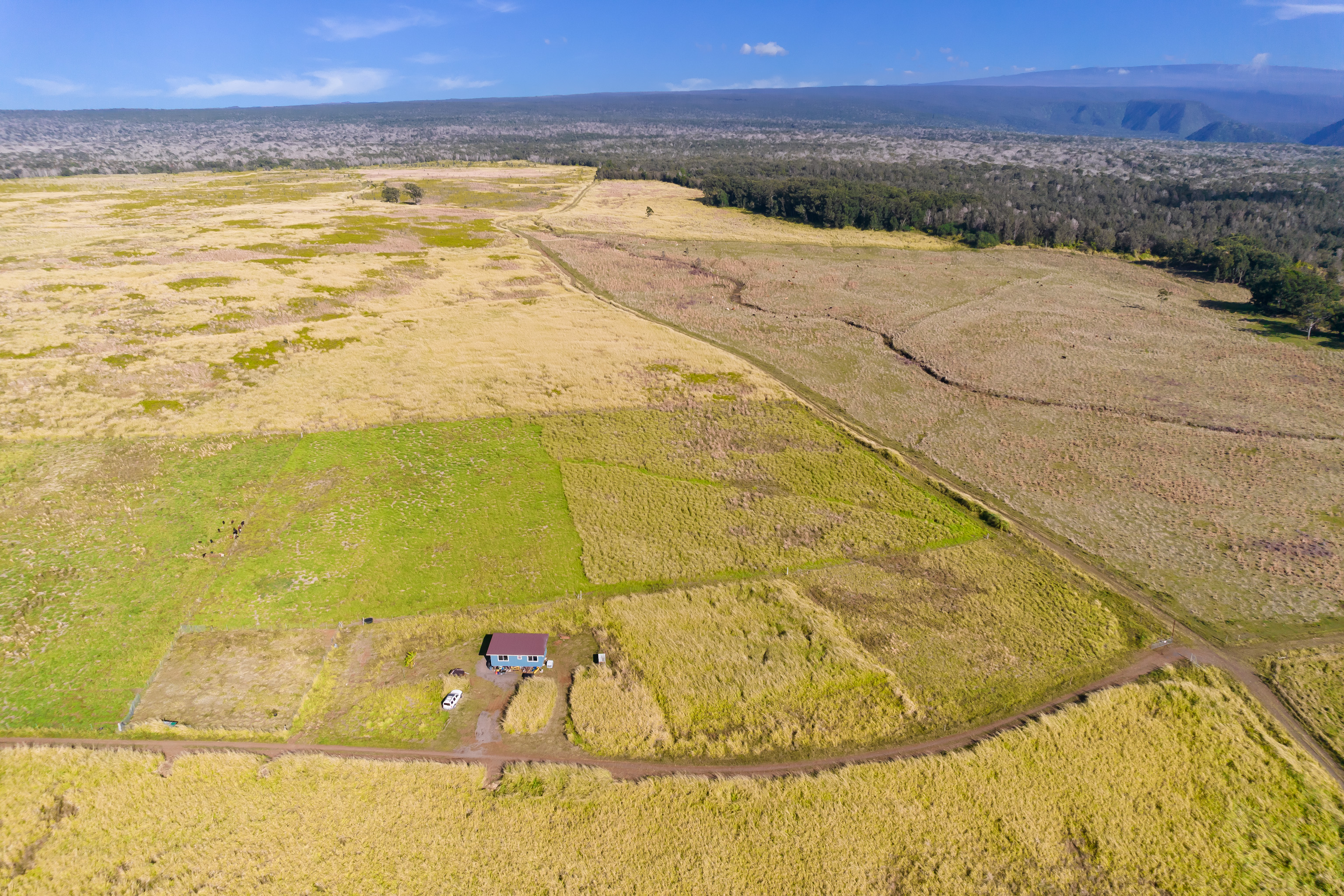 95-4165 Halemauna Road Naalehu, HI 96772 - Photo 19 of 22
