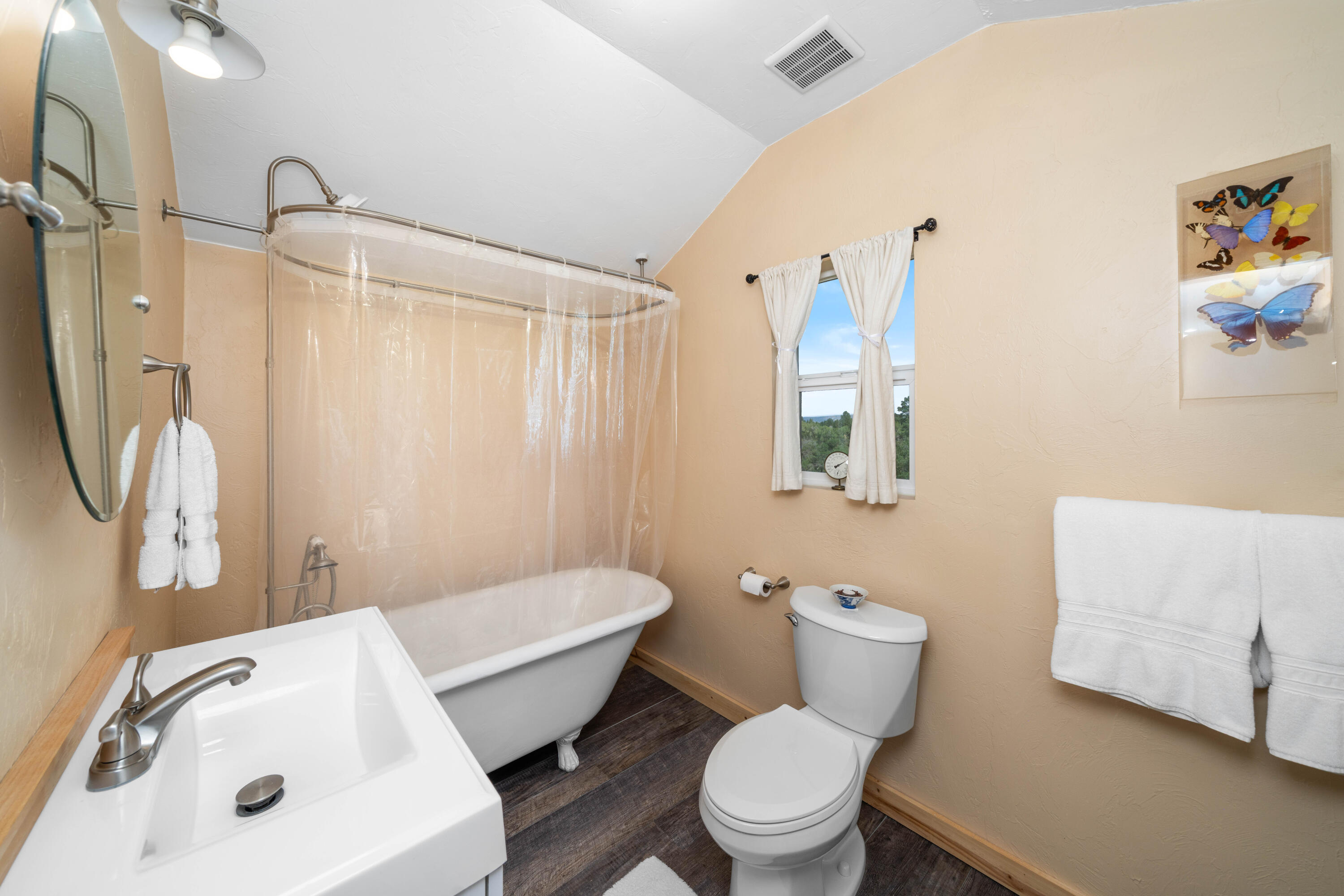 333 Marys Road Ridgway, CO 81432 - Photo 24 of 42 24-DSC02558