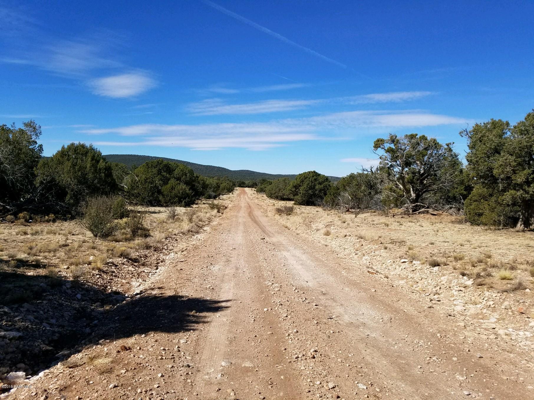 998 Sierra Verde Ranch Seligman, AZ 86337 - Photo 3 of 5 Clark 998 1