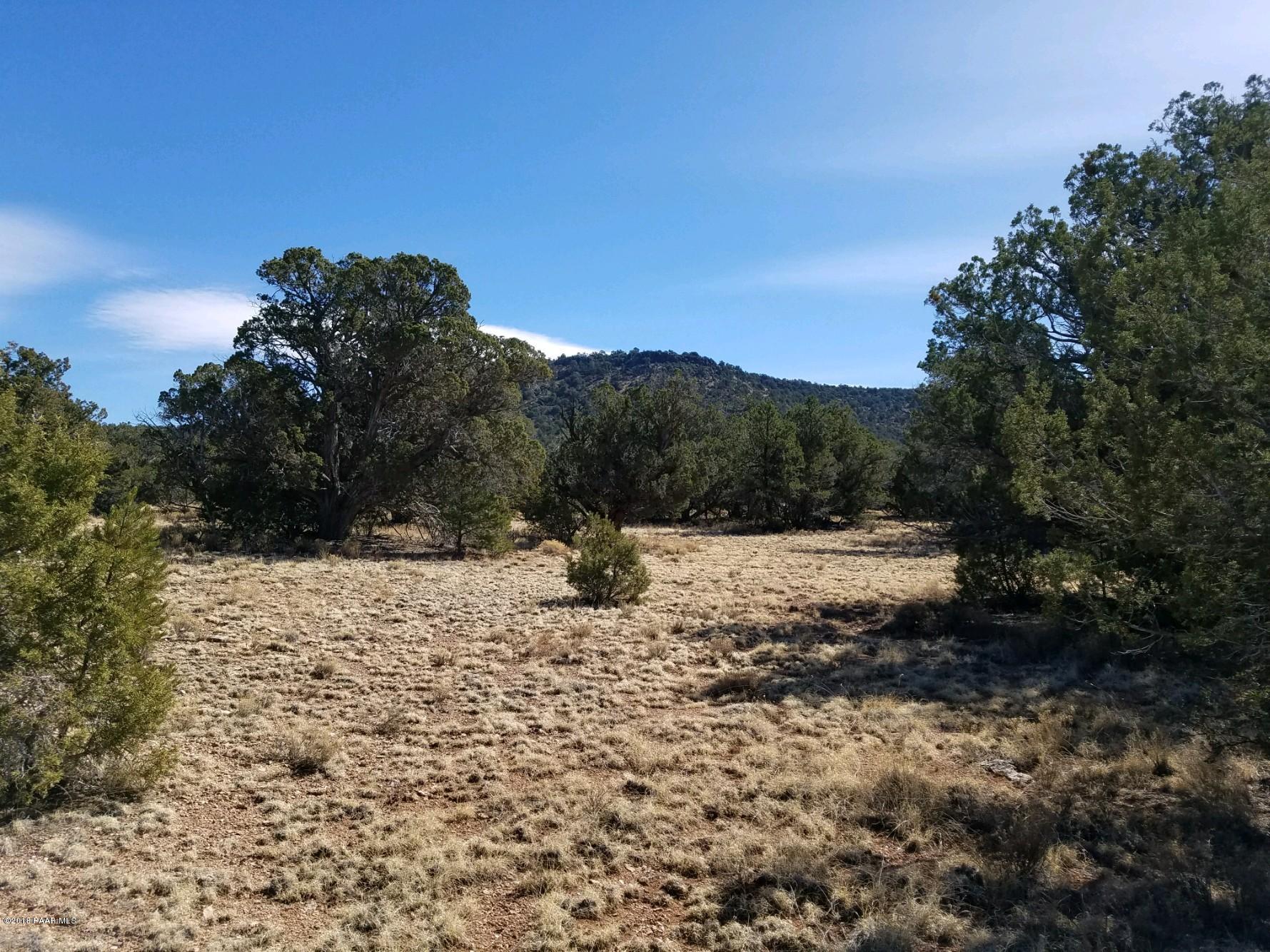 998 Sierra Verde Ranch Seligman, AZ 86337 - Photo 4 of 5 Clark 998 2