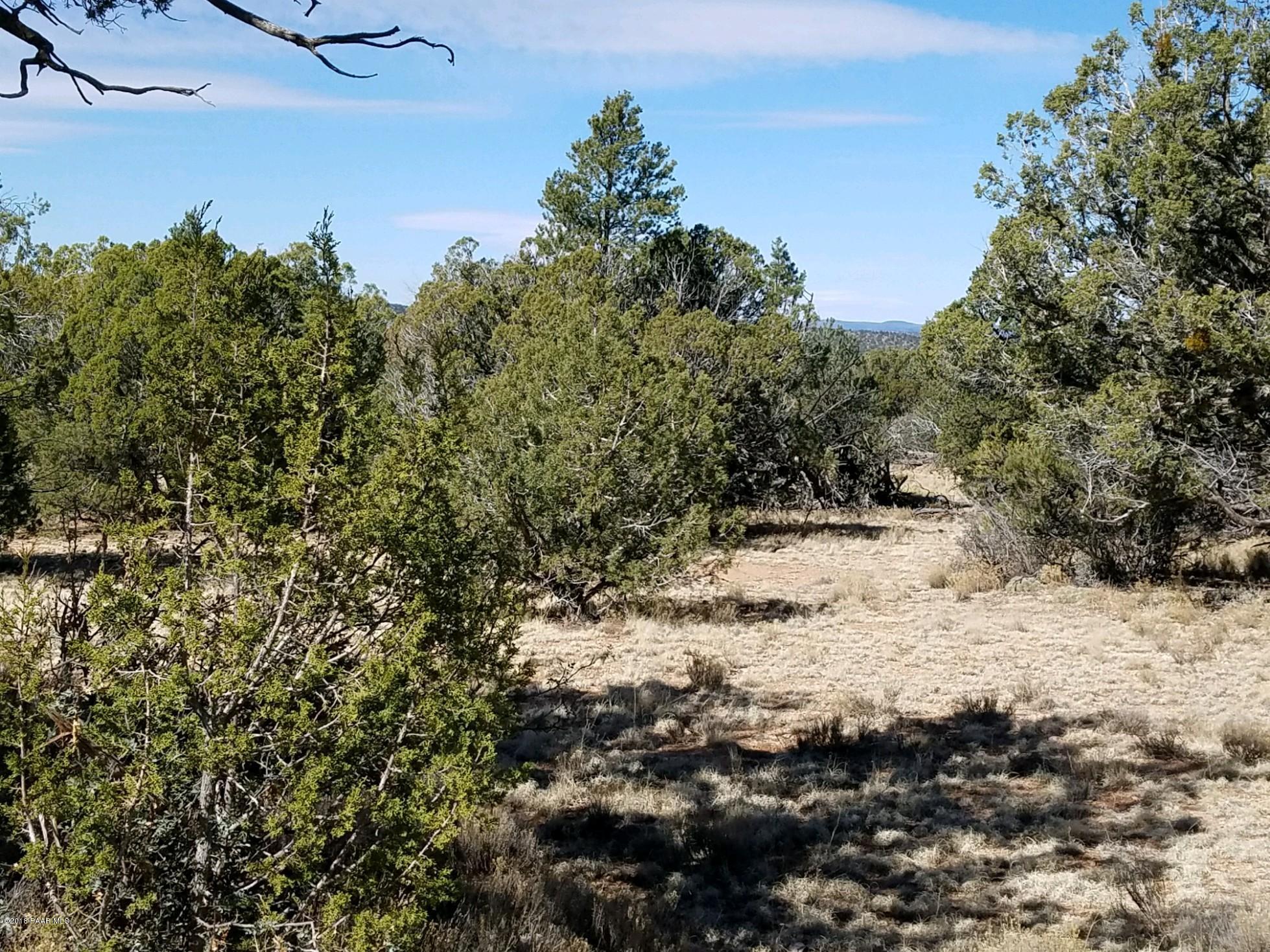 998 Sierra Verde Ranch Seligman, AZ 86337 - Photo 5 of 5 Clark 998 3