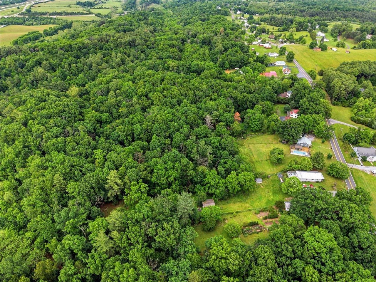 1296 New Hope Road Staunton, VA 24401 - Photo 32 of 37 a view of a lush green forest with houses