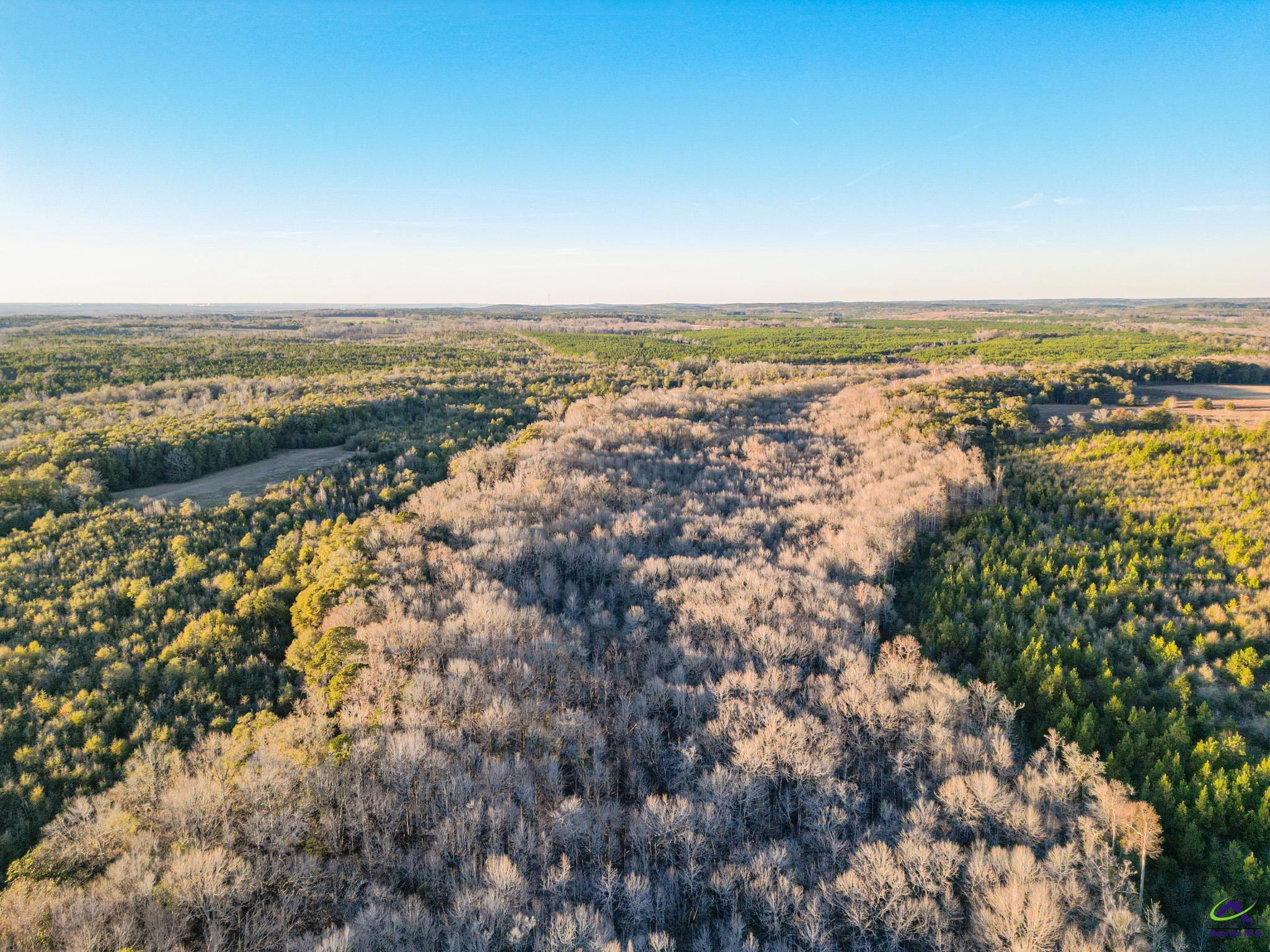 9036 Bullard Road Dry Branch, GA 31020 - Photo 45 of 72