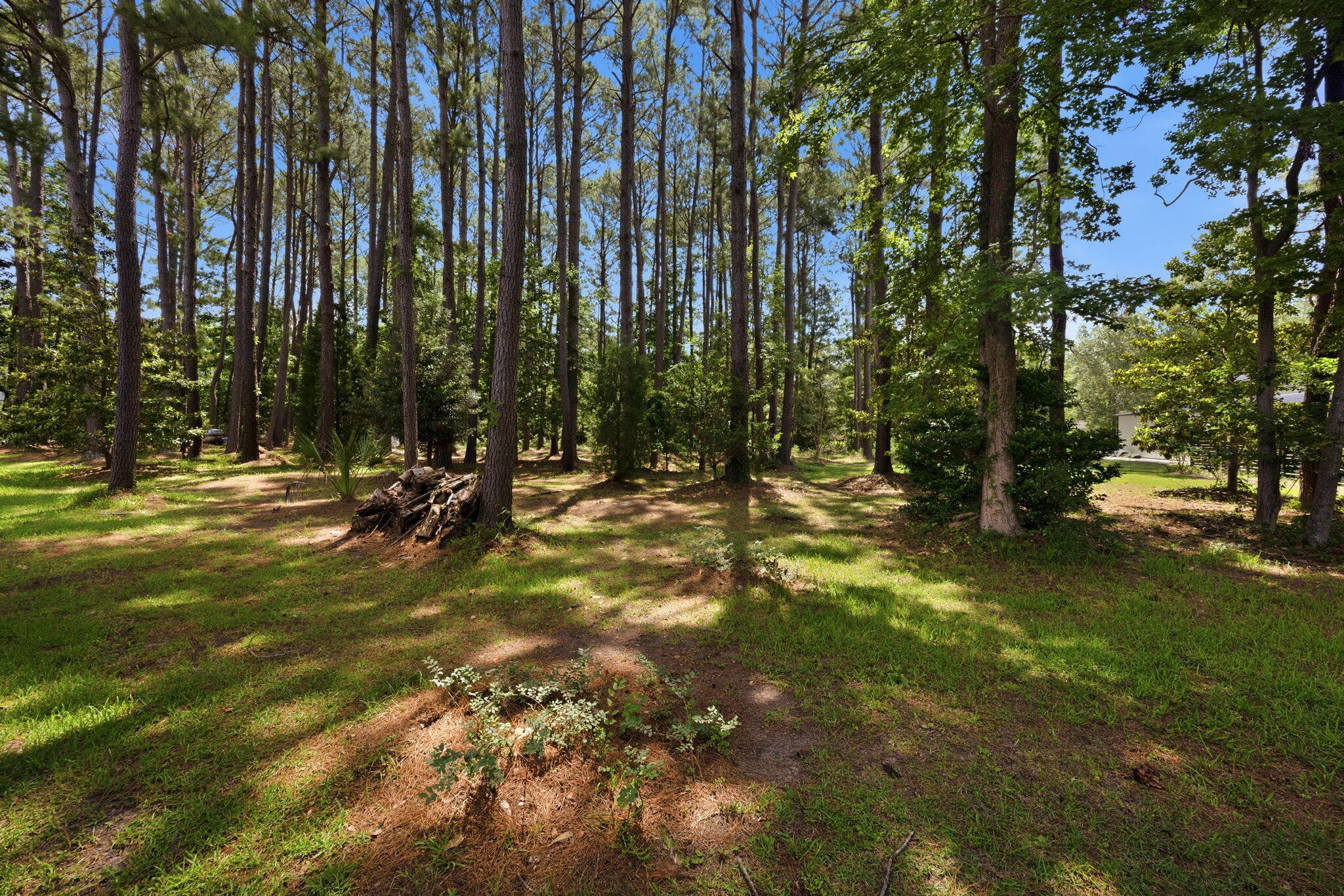 2981 Bennett Charles Road Mount Pleasant, SC 29466 - Photo 44 of 58 48-web-or-mls-470A8451