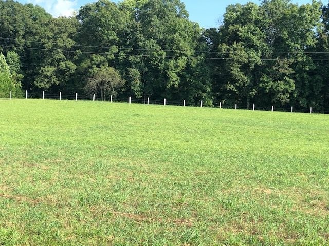 230 Doc Miller Road Madisonville, TN 37354 - Photo 36 of 40 Gallery Image 36