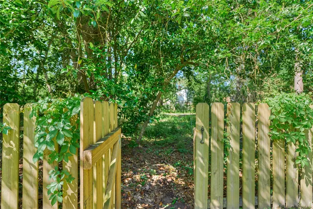 a view of a garden with plants