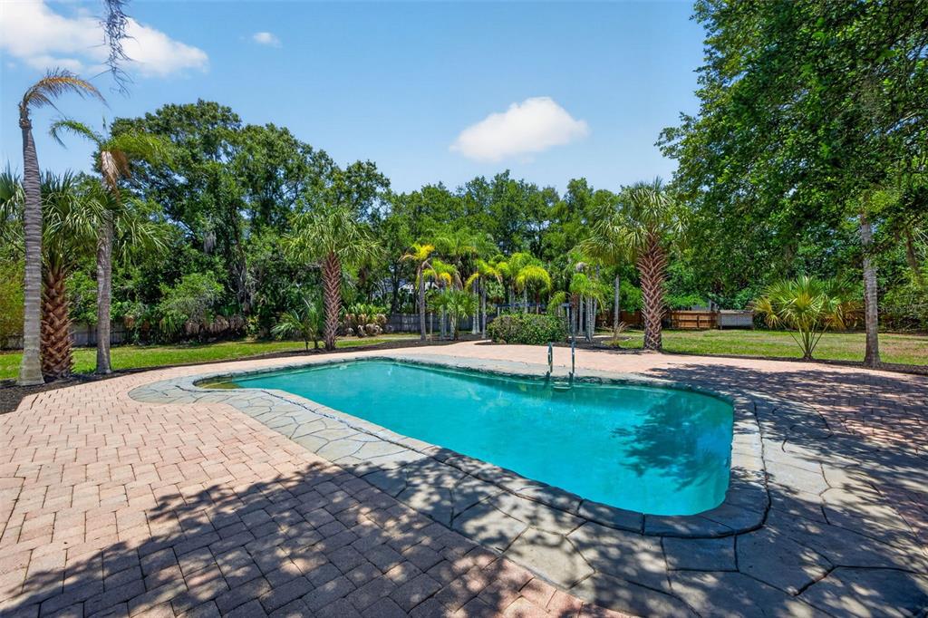 1007 State Street East Oldsmar, FL 34677 - Photo 47 of 65