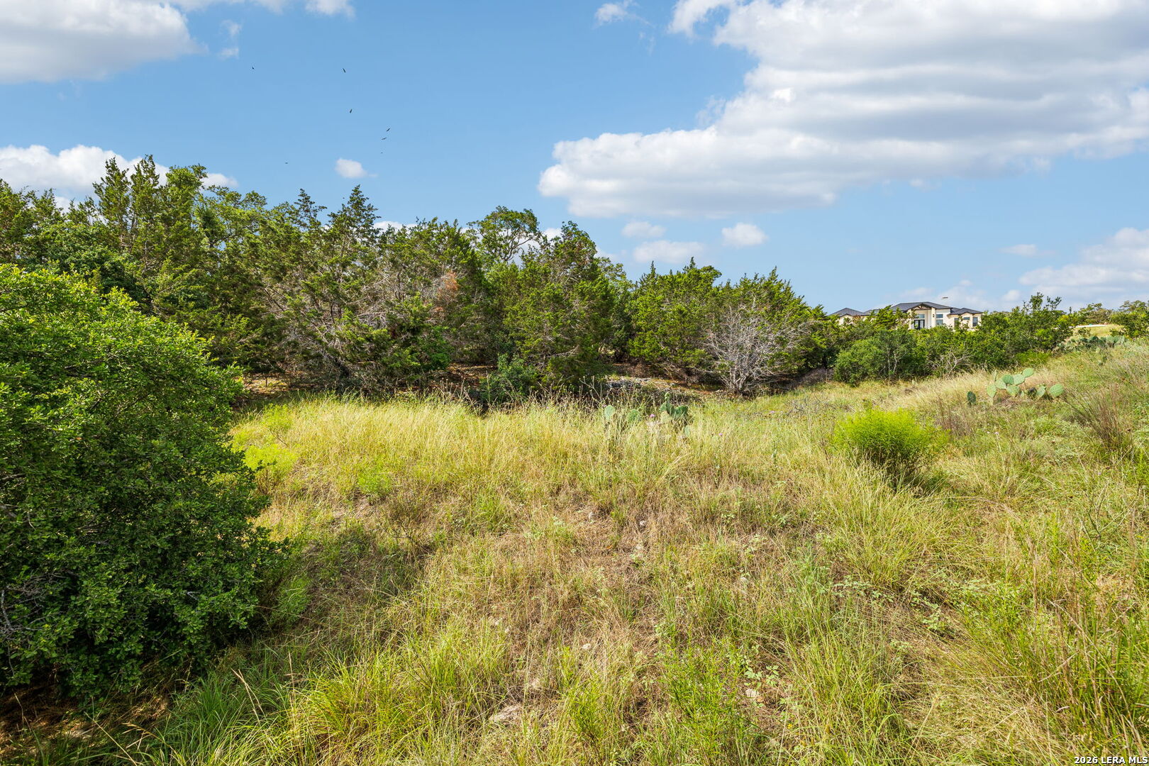 155 Obscure Way Spring Branch, TX 78070 - Photo 7 of 25