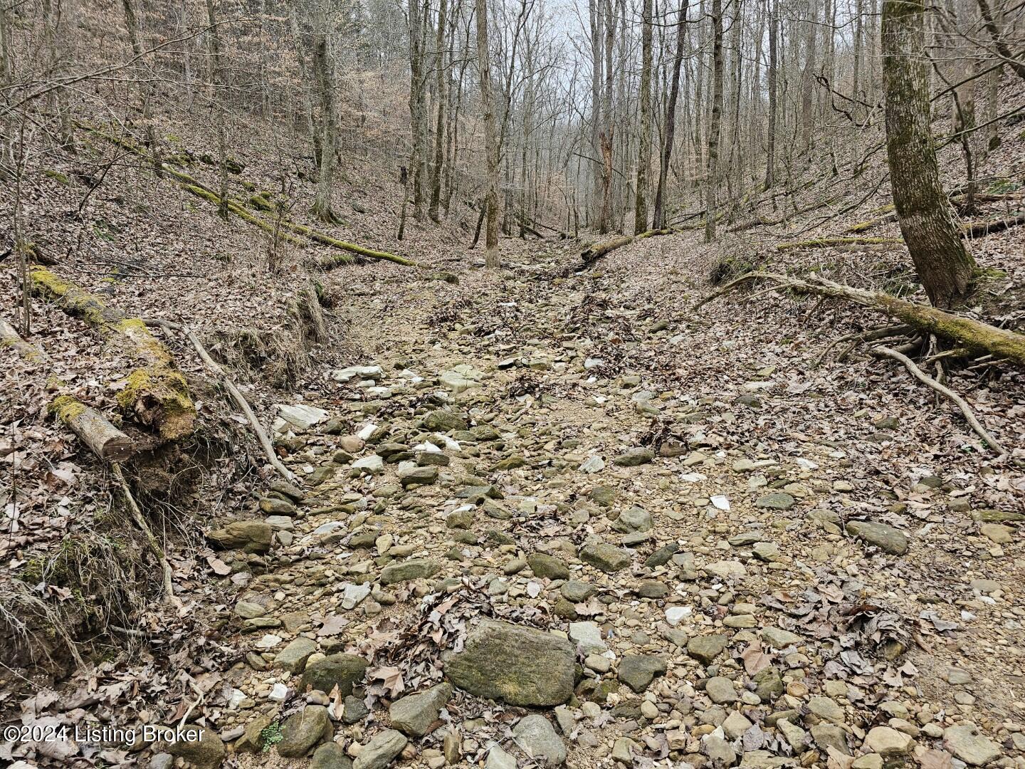 2 Lone Star Road Upton, KY 42784 - Photo 13 of 16 20240209_134907 (Large)
