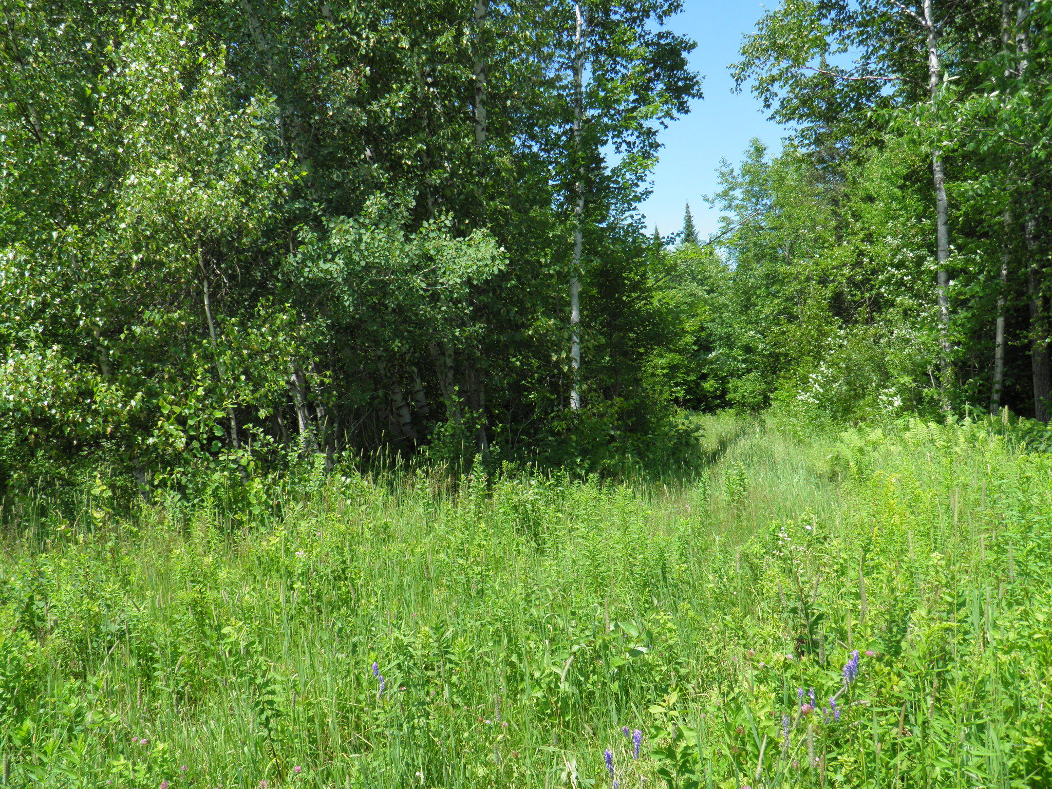 343 Me- 159 Crystal, ME 04747 - Photo 5 of 9 P7180651