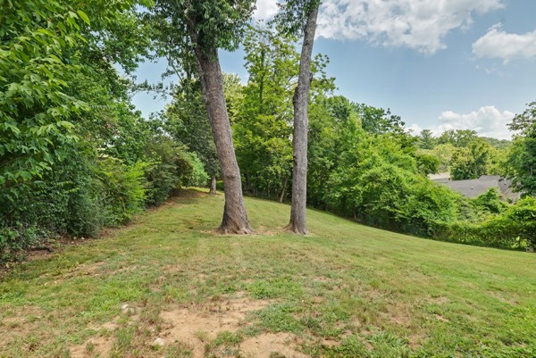 401 College Avenue East Carthage, TN 37030 - Photo 17 of 20