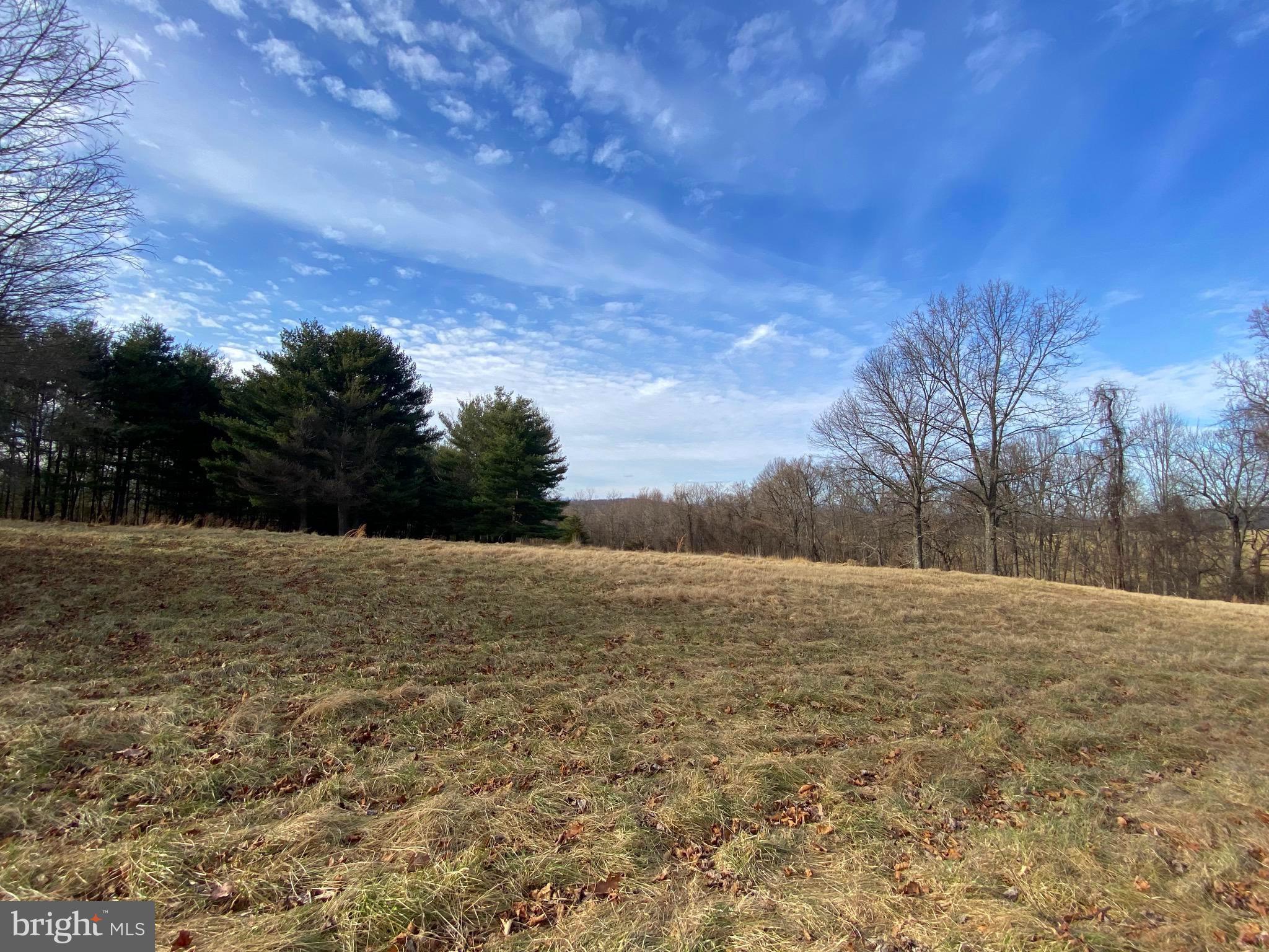 2008 Hoffmaster Road Knoxville, MD 21758 - Photo 8 of 13 Gallery Image 8