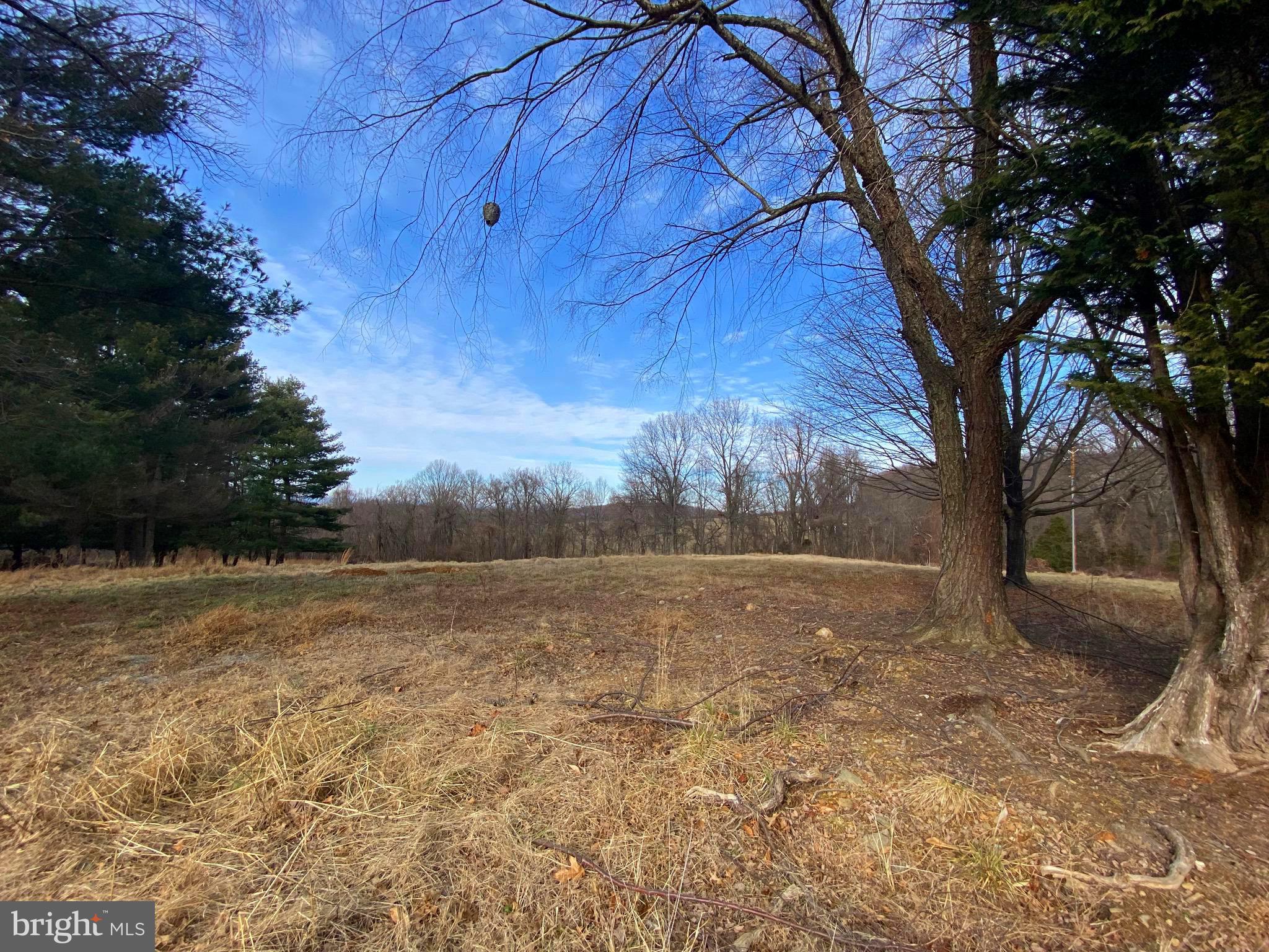 2008 Hoffmaster Road Knoxville, MD 21758 - Photo 10 of 13 Gallery Image 10