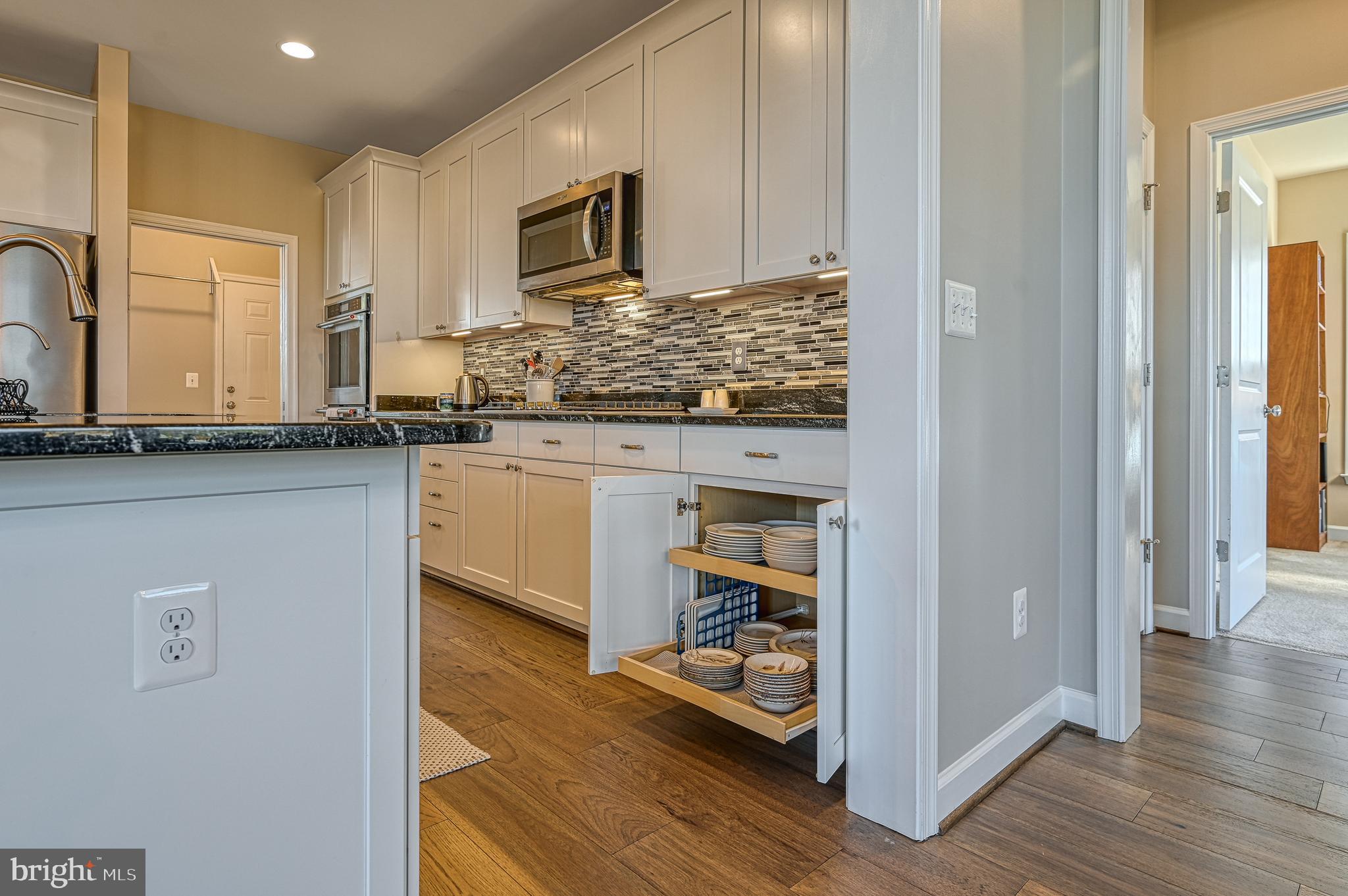 481 Sunset Loop Mineral, VA 23117 - Photo 24 of 87 Pull-Out Shelves