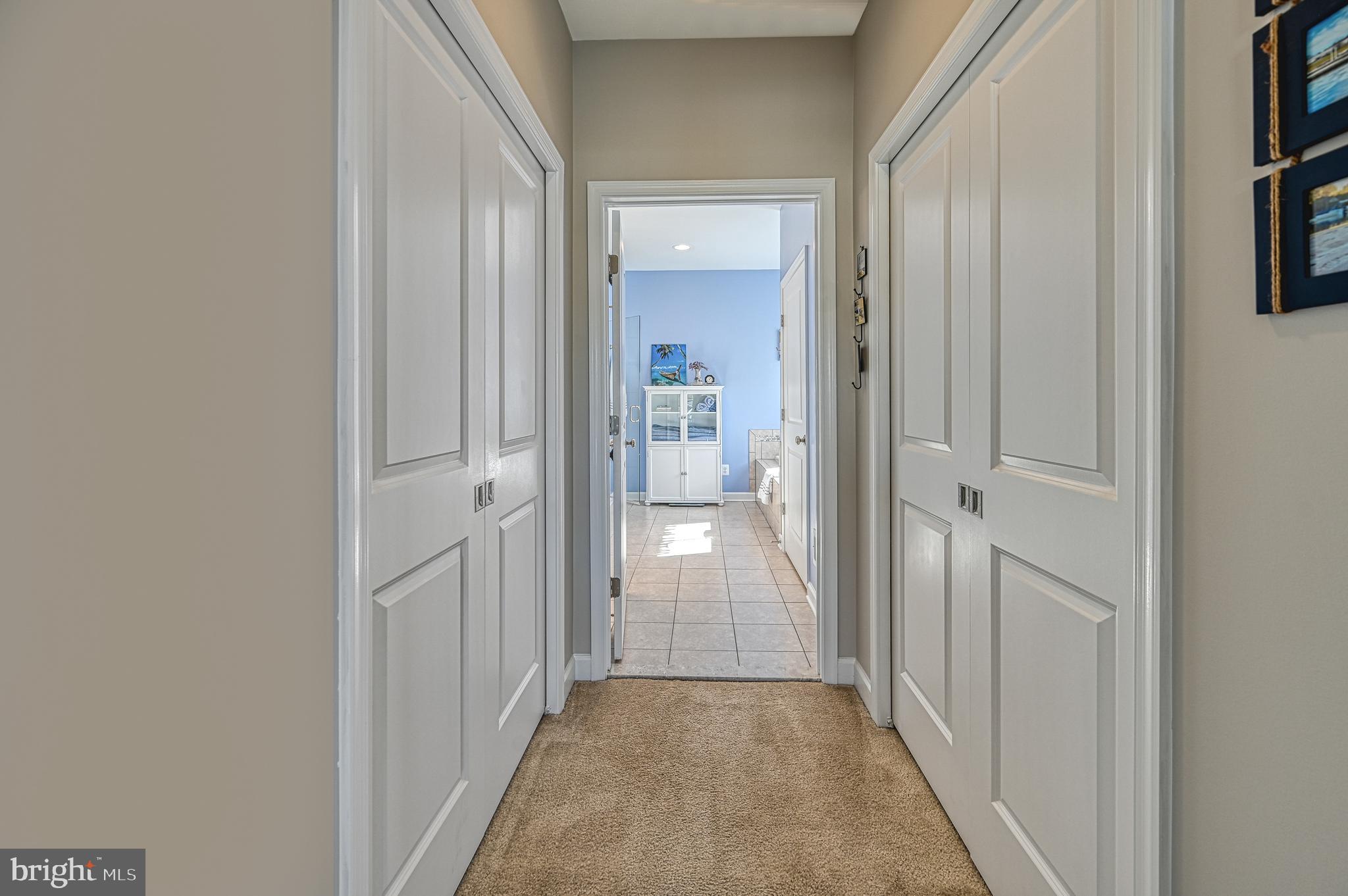 481 Sunset Loop Mineral, VA 23117 - Photo 37 of 87 Double Closets in Primary Bedroom