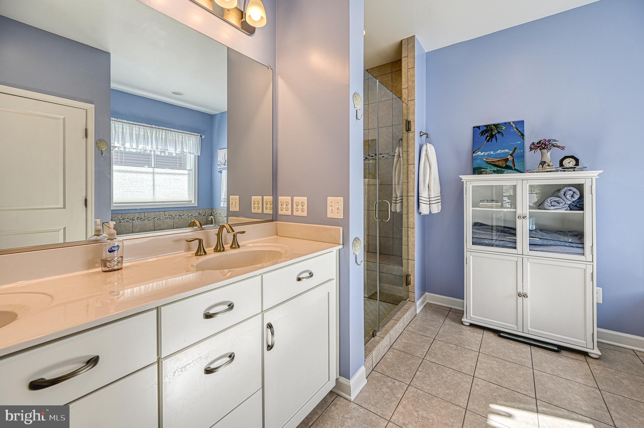 481 Sunset Loop Mineral, VA 23117 - Photo 38 of 87 Primary En'Suite