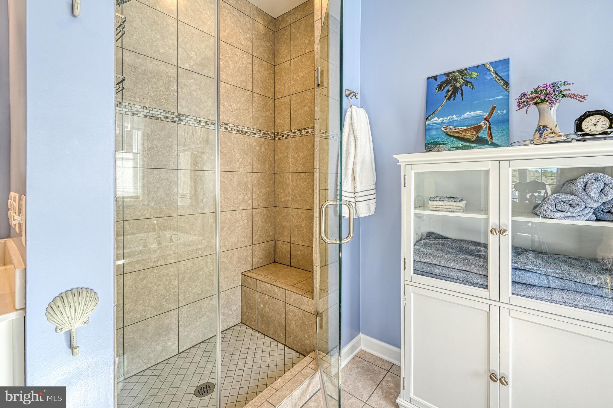 481 Sunset Loop Mineral, VA 23117 - Photo 40 of 87 Primary En'Suite Shower