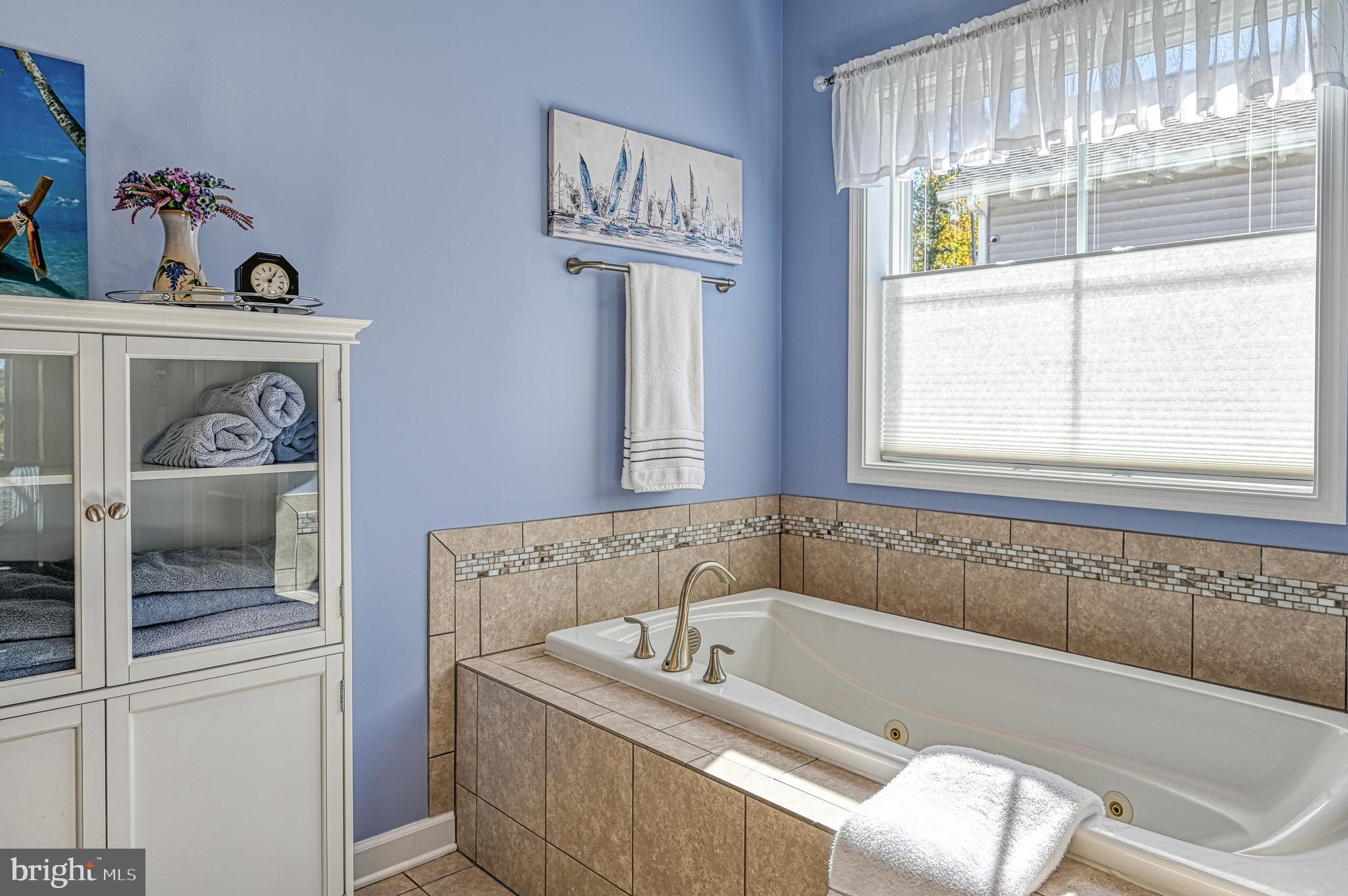 481 Sunset Loop Mineral, VA 23117 - Photo 42 of 87 Primary En'Suite Jetted Tub